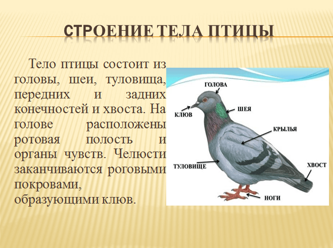 Решение рисунок 2