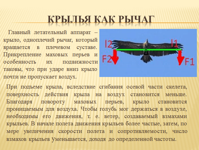 Решение рисунок 3