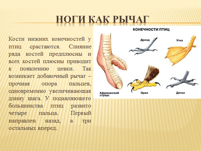 Решение рисунок 4