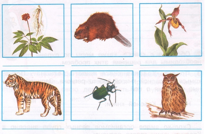 Задание рисунок 2