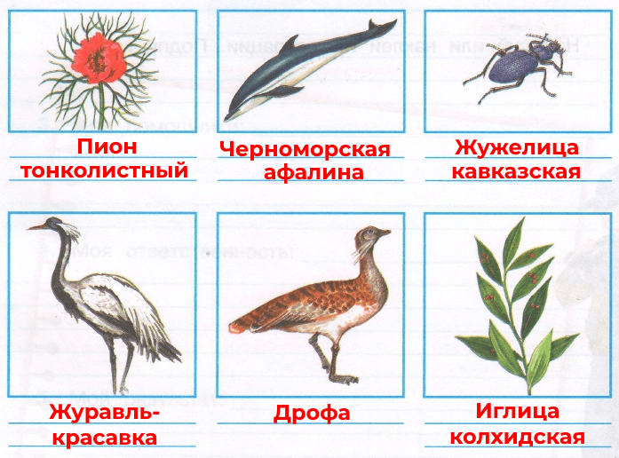 Решение рисунок 3