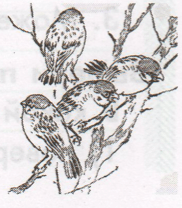 Задание рисунок 1